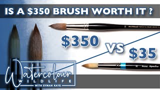 Is it worth it  350 Watercolour Brush vs 35 Watercolor Brush [upl. by Majka]