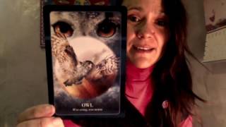 Les Energies du 17 au 23 oct tarot horoscope [upl. by Ray]