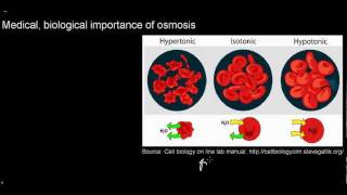 lecture 15 part 5 Osmosis [upl. by Cyb]