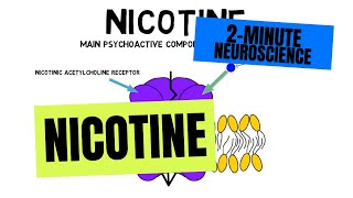 2Minute Neuroscience Nicotine [upl. by Abihsat935]