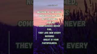 Bible verse Lamentations 32223 shorts bibleshortvideo [upl. by Callum]