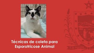 Técnica Laboratorial de Coleta para Esporotricose Animal [upl. by Aikenat129]