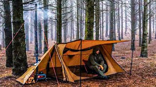 I Found a Stray Dog   Solo Camping In Heavy Rain amp Snow ASMR Video Compilation [upl. by Laval]