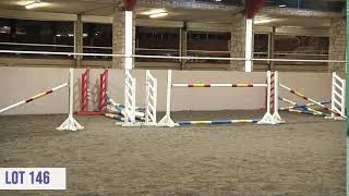 Performance Sale Cavan Equestrian Centre [upl. by Ahsanat]