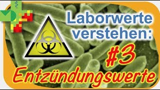 Laborwerte verstehen 3 Entzündungswerte [upl. by Cele]