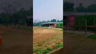 horsestable stallion chandigarhhorseridingsociety horsejumping horsebackriding equestrian [upl. by Abby593]