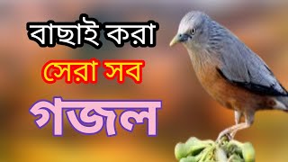 Bengali Islamic naat  amazing Islamic song  ইসলামিক সেরা গজল  bangla new gojol  New gojol [upl. by Bonilla]