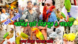 Friday mirpur 1 pakhir hat  নামি দামি সব পাখির হাট  শুক্রবার পাখির হাট  bird market mirpur 1 [upl. by Cleavland]