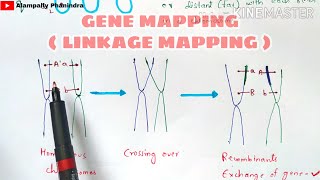 Gene mapping  Linkage mapping and Physical mapping  Part  1  Bio science [upl. by Reuben]