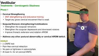 Cervicogenic Dizziness  Treatment Progressions [upl. by Garlen]