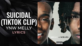 YNW Melly  quotSuicidalquot Clip LYRICS  quotI said I loved you and I wish I never didquot TikTok Song [upl. by Naujd]