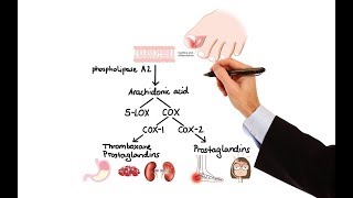 Pharmacology  NSAIDs amp PROSTAGLANDIN ANALOGS MADE EASY [upl. by Ylreveb]