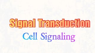 Signal Transduction Cell SignalingTransmembrane signalingbiochemistry cellsignaling [upl. by Yleen955]