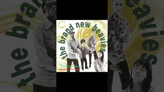 Brand New Heavies  Never StopSH [upl. by Gadmann]