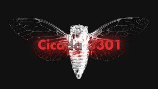 Cicada 3301 An Internet Mystery [upl. by Grishilda333]