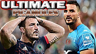 Ultimate PICAMOLES Tribute  GARGANTUAN ᴴᴰ [upl. by Ttirrej]