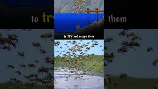 The Guide Tried To Escape The Bees 🐝 w zackdfilms terraria [upl. by Nilyram426]