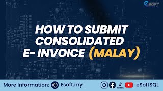 How To Submit Consolidated EInvoice Malay [upl. by Asor]