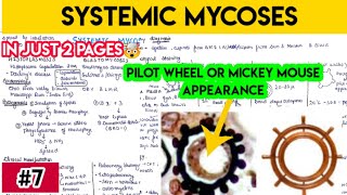 Systemic mycoses part 1  histoplasmosis basidiomycosis coccidioidomycosis paracoccidioidomycosis [upl. by Esiahc]