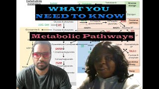 What you need KNOW FOR MCAT Metabolic Pathways aamc mcat medicalschool metabolism [upl. by Leizahaj]