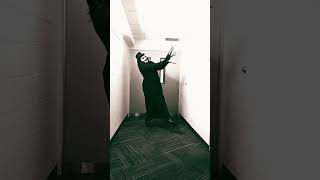 Babadook is HIVE renaissancetour dance babadook halloween [upl. by Rennat]