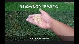 COMO SEMBRAR PASTO SEMILLA PARA JARDÍN [upl. by Ardnassak365]