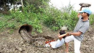 Anaconda Attack Fishing Boy In Amazon Forest  Anaconda attack Video  Fun Made Movie [upl. by Bennett42]