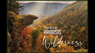 Tim Ernst – Arkansas Wilderness  Gallery Interview [upl. by Garnes]