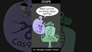 CRISPR  Amoeba Sisters Shorts biology biotechnology science [upl. by Fredie]