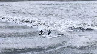 Bore Tide Surfing Alaska [upl. by Sivrat]