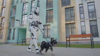 invideo ai 720 Robotic Dog Helps Old Lady Cross the Roa 2024 10 28 2 [upl. by Claudio]