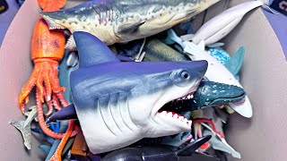 Fun Shark Toys Great White Shark Hammerhead Zebra Shark Mako Shark Basking Shark Whaleshark [upl. by Nana784]