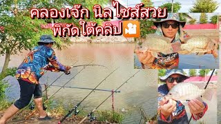 หมายธรรมชาติ🎣คลองเจ๊ก🐟ปลานิลไซส์สวย ep ที่ 204 [upl. by Romilda]