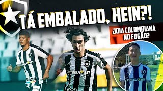 DESTAQUES DA VITÓRIA DO BOTAFOGO BOA ESTREIA DE ERISON E DESTAQUE PARA MATHEUS NASCIMENTO [upl. by Gaul139]