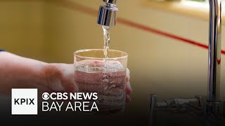 Stanford doctor discusses regulation of PFAS in drinking water [upl. by Katy478]