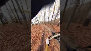 Wolski Forest  Downhill Bike  Commencal Supreme V5 bike downhillmtb mtb mtblife downhill [upl. by Atwekk]