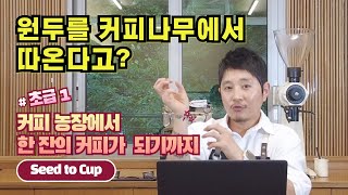 커피신창호 초급1 커피 농장에서 한 잔의 커피가 되기까지 [upl. by Lirret]