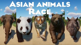 Asian Animals Speed Race in Planet Zoo included Giant Panda Indian Rhino Indian elephant amp etc [upl. by Jakie642]