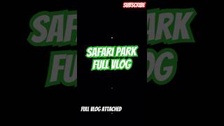 Safari Park Adventure Full Vlog attached shorts forest jungle [upl. by Lrad]