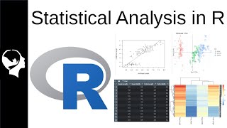 Running Basic Statistical Analysis in R [upl. by Mascia639]