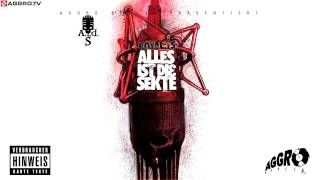 ROYAL TS SIDO amp BTIGHT SO HIGH TEIL 2  ALLES IST DIE SEKTE  ALBUM  TRACK 18 [upl. by Eiramrefinnej652]