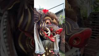 Taring Barong Bangkung yang ditakuti [upl. by Sidwell]