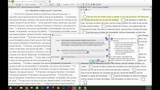 Interlinear in Paratext 9 2 [upl. by Fisch274]