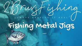 Fishing Metal Jigs CATCH amp COOK [upl. by Orren412]