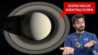 SATURNO el planeta gigante que PERDERÁ SUS ANILLOS  Guía rápida del sistema solar [upl. by Capps]