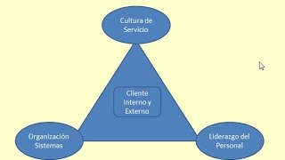 Gerencia del Servicio Introducción [upl. by Ernest370]