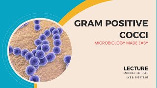 GramPositive Cocci Characteristics Identification and Clinical Significance [upl. by Rina]