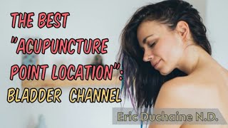 Mastering BLADDER CHANNEL Point Location Made EASY [upl. by Htedirem743]