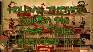 Holiday Themed Guinea Pig Cage Tour December 2013 [upl. by Ilsel535]