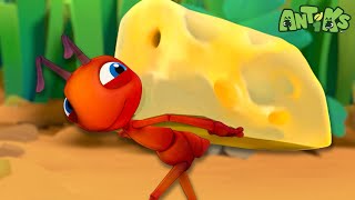 Its a Gouda Day to Be an Ant 🧀  🐜 Antiks 🐜  Funny Cartoons for Kids  Moonbug [upl. by Enneibaf330]